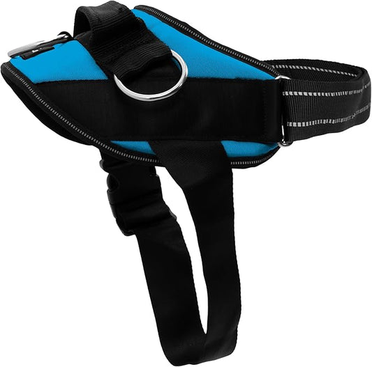 ShawnCo Essential Dog Harness, No-Pull Pet Vest with 3 Leash Clips, No Choke, Reflective, Adjustable and Padded, for Easy Walking and Training for Small, Medium and Large Dogs (Oceanic Blue, L)