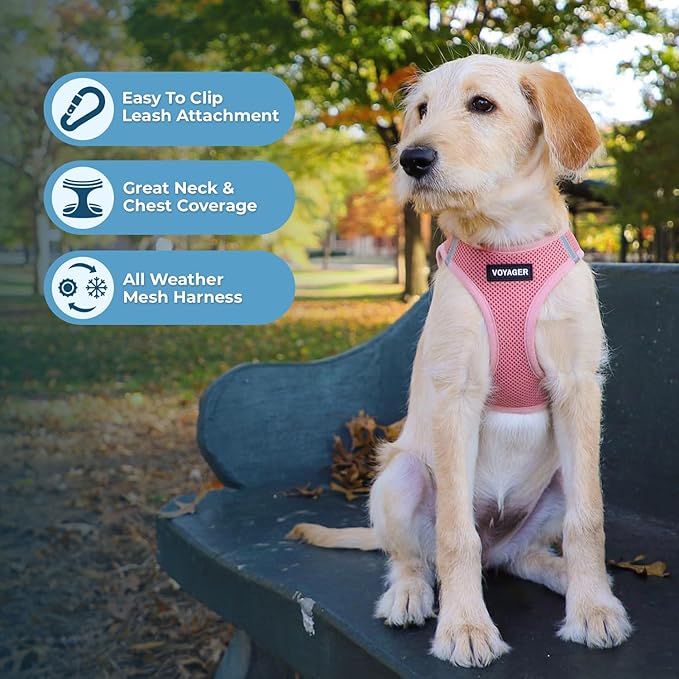 Best Pet Supplies Voyager Step-in Air All Weather Mesh Harness and Reflective Dog 5ft Leash Combo with Neoprene Handle, for Small, Medium and Large Breed Puppies - Set (Pink), Medium