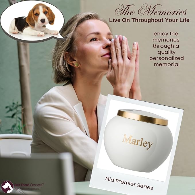 Mia Paws Premier Series Pet Urn for Dogs and Cats with Personalized Laser Engraving (Small - Pets up to 20 lbs, Cloud White, Double Brass Paws)