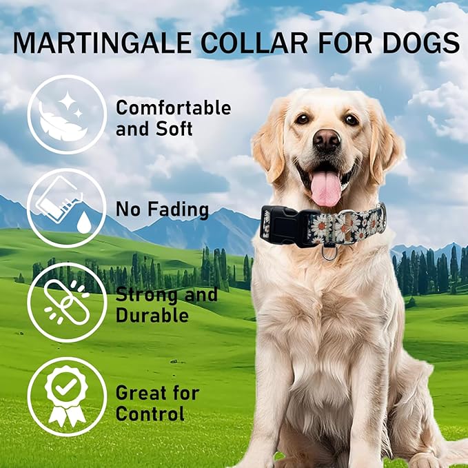 Martingale Collar for Dogs Flower Dog Collar with Quick Release Buckle Adjustable Nylon Soft Dog Collars for XSmall Dogs, Daisy