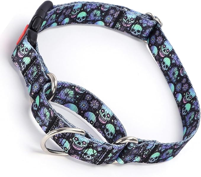 Martingale Collar for Dogs with Buckle, No Slip Escape Proof Limited Choke Pinch Pet Collars Quick Release Snap with Lock for Small Medium Large Breed, Blue Purple Skull M