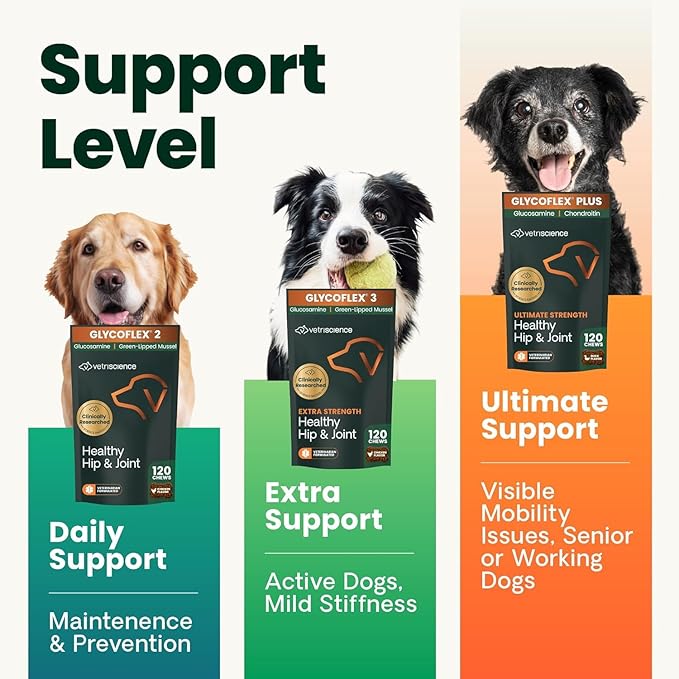 VetriScience Extra Strength Healthy Hip & Joint Chews, GlycoFlex Glucosamine and Green-Lipped Mussel Joint Support Supplement for Dogs, Promote Mobility & Soothe Joint Discomfort, Chicken, 60 Count