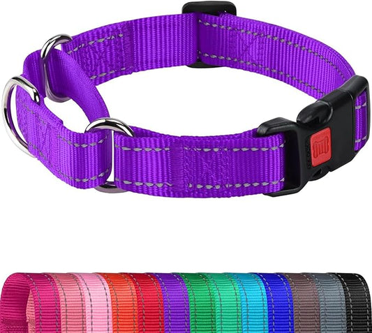 Joytale Martingale Collar for Dogs, Reflective Heavy Duty for Safety, Quick Release Buckle, Adjustable Nylon Collars for Large Dogs Walking Training, Purple,L