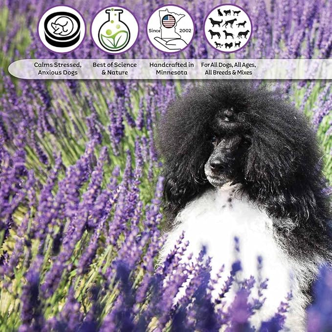 The Blissful Dog Poodle Relax Dog Aromatherapy Spray for Your Dog's Anxiety