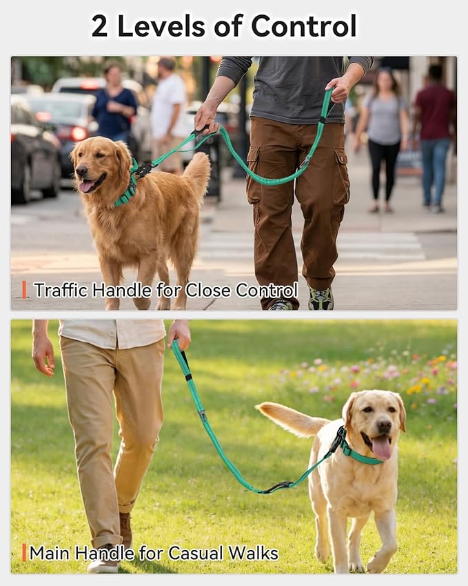 Joytale Tactical Dog Leash Heavy Duty, 4-6FT Shock Absorbing Bungee Lead with 2 Padded Handle, Metal Carabiner Clip, Car Seatbelt, Strong No Pull Leash for Medium Large X-Large Dogs, Teal