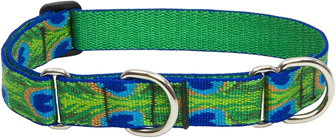 LupinePet Originals 1" Tail Feathers 19-27" Martingale Collar for Large Dogs