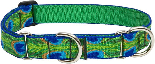LupinePet Originals 1" Tail Feathers 15-22" Martingale Collar for Medium and Larger Dogs