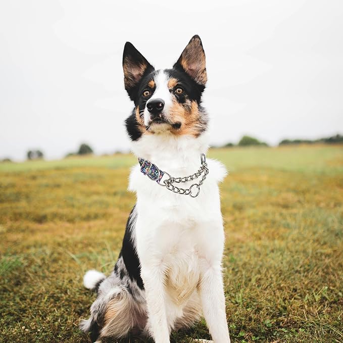 Martingale Collar for Dogs with Chain,Adjustable Nylon Floral Slip No Pull Training Dog Collars for Medium, Large & XL Dogs(Floral L)