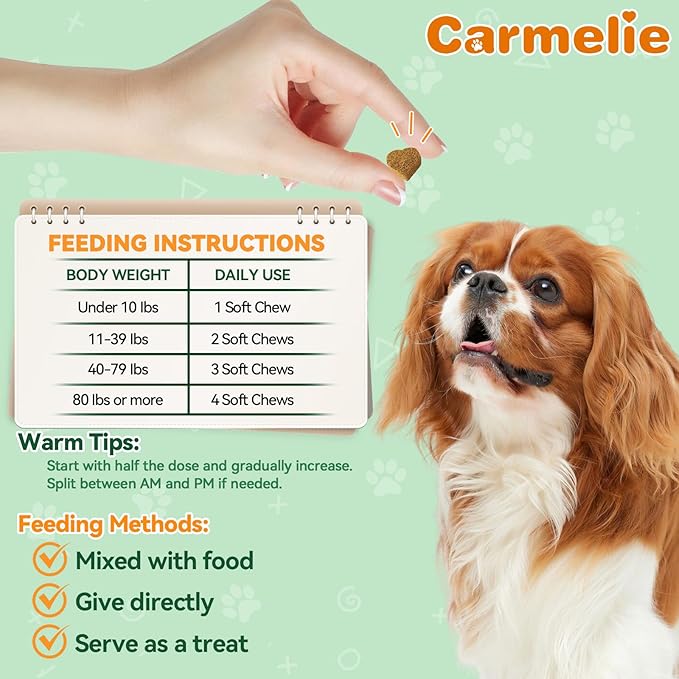 Dual Flea Chews Bundle for Dogs - 200 Each - Natural Flea & Tick Prevention with Skin & Coat Support + Daily Flea Chews for All Breeds - Chicken Flavor Combo