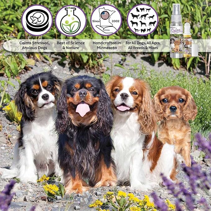 The Blissful Dog Cavalier King Charles Spaniel Relax Dog Aromatherapy Spray for Your Dog's Anxiety
