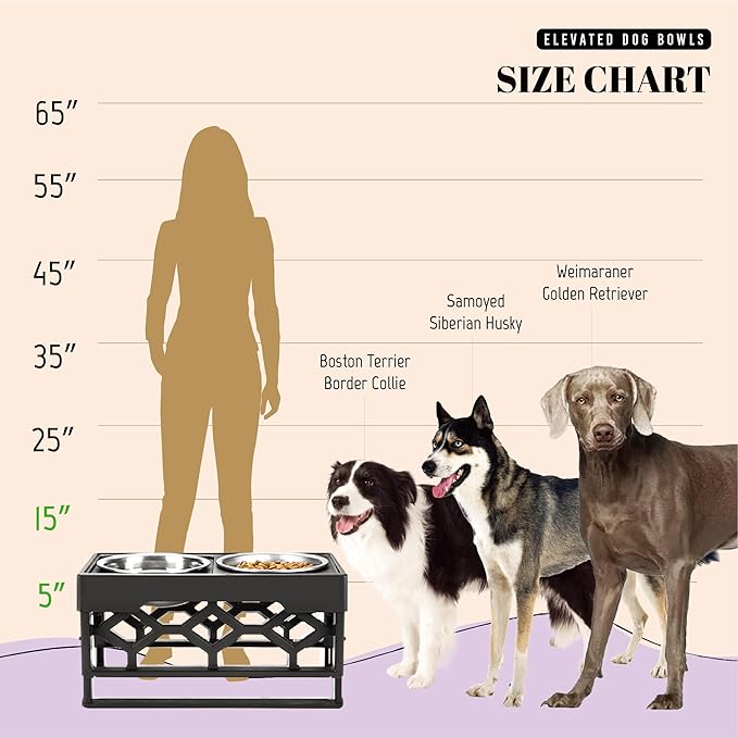 AVERYDAY Elevated Dog Bowls, 4 Height Adjustable Stand for Medium and Large Dogs, Raised Dog Feeder Holder with 2 Stainless Steel Food and Water Bowls, Anti-Slip Base Tall Feeding Station