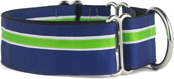 If It Barks - 1.5" Martingale Collar for Dogs - Adjustable - Nylon - Strong and Comfy - Ideal for Training - Made in USA - Custom, Finley