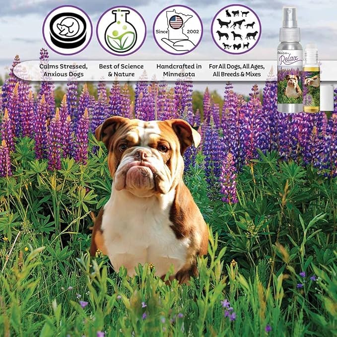 The Blissful Dog Olde English Bulldog Relax Aromatherapy Spray for Your Dog's Anxiety