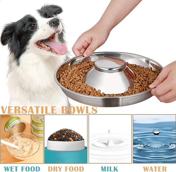 2 Pack Stainless Steel Puppy Bowls - 10 Inch Puppy Feeders Slow Pet Dog Feeding Bowls for Multiple Puppies - Food and Water Bowl for Small Dogs, Cat