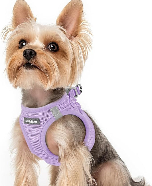 rabbitgoo Small Dog Harness, Step-in Soft Mesh Puppy Vest with Safety Buckle, Breathable Reflective Pet Harness for Small Sized Dogs, Light Purple XS