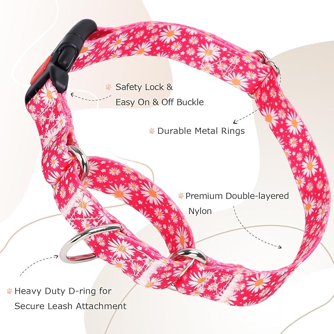 Martingale Collar for Dogs, Rose Daisy Flowers Dog Collar for Small Medium Large Dogs, Adjustable Girl Dog Collars with Quick-Release Buckle for Training, Walking, Hunting (L)