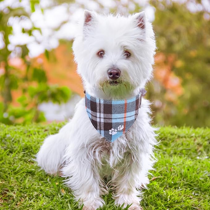 EXPAWLORER Dog Collar and Leash Set - Embroidery Pawprints Plaid Dog Leash and Collars, Cute Bandana and Detachable Collar, Suitable for Small Medium Dogs Girl Boy, SkyBlue S-M