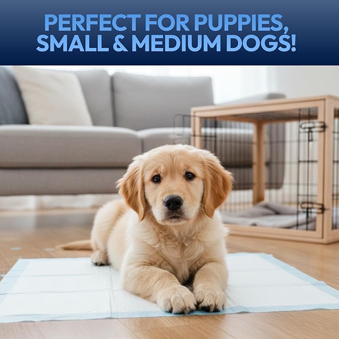 Training Pads for Dogs & Puppies, Super Absorbent, Leak-Proof Protection, Odor-Neutralizing, Disposable Puppy Pads Essentials 22"x22" 50 Count - BROOKLYN PET GEAR