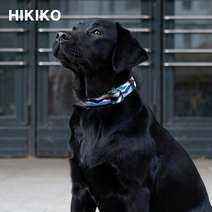 Hikiko Martingale Collar for Dogs with No Buckle Boy Male No Slip Dog Collars for Medium Dogs,Blue Mountain,M