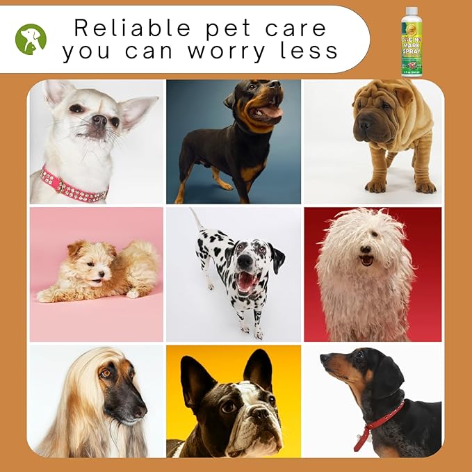 8oz Natural Pet Spray for Encouraging Good Bathroom Habits in Dogs - Not Here Dog Spray Training Spray to Stop Dogs from Marking