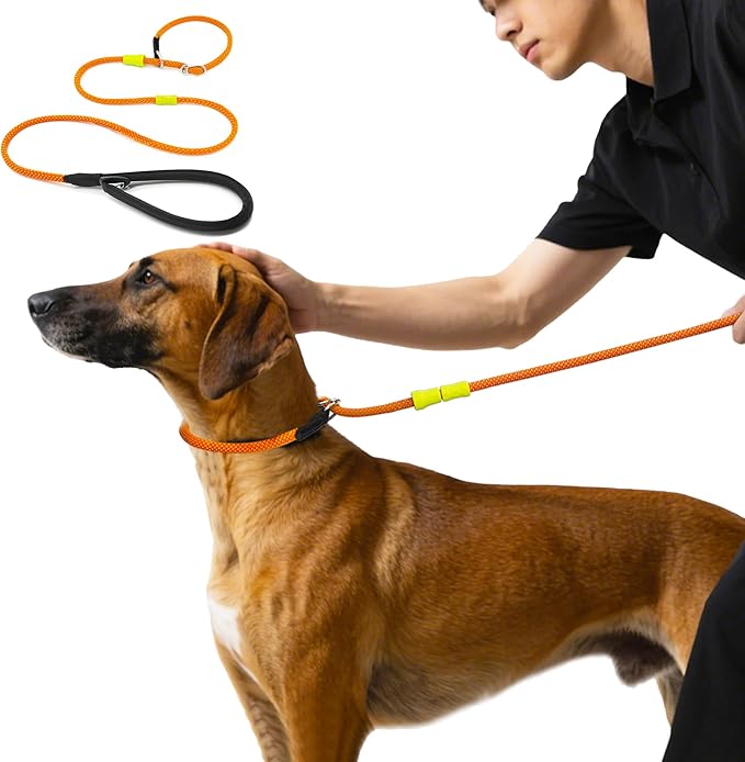BeauGo| Slip Lead Dog Leash|Dog Training Leash & Colla,Professional Trainer Rope,Sturdy and Durable,Suitable for All Dogs Training leashes (6ft Orange) ﻿