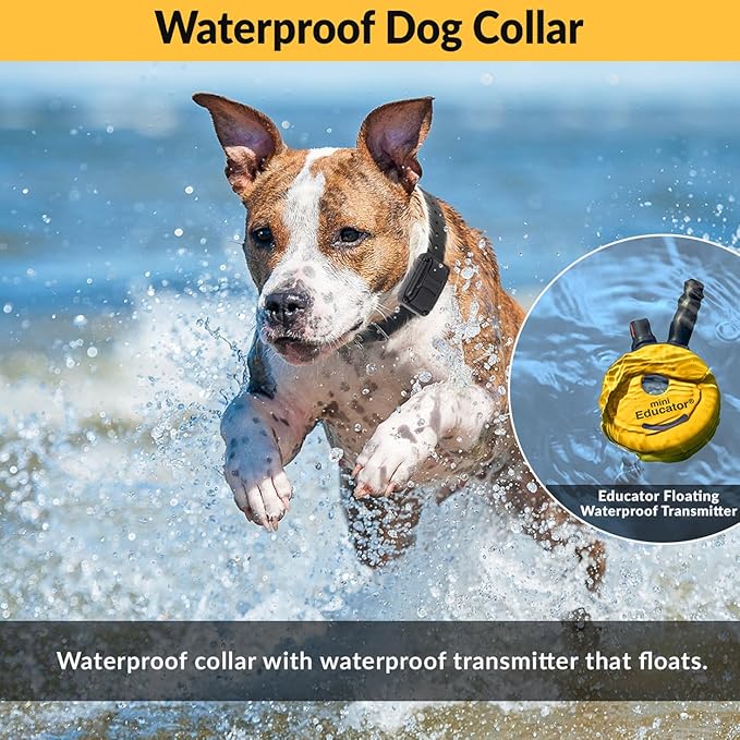 E-Collar ET-300-1/2 Mile Waterproof Remote Dog Training Collar Includes Premium Finger Clicker Trainer, 100 Programmable Levels + Vibration + Light + Sound, Red