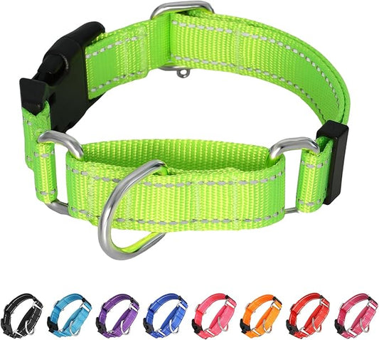 Martingale Collar for Dogs,Reflective Martingale Dog Collars with Quick Release Buckle,Adjustable Nylon No Pull Dog Collar for Walking Training(Azure Blue,Extra Large)