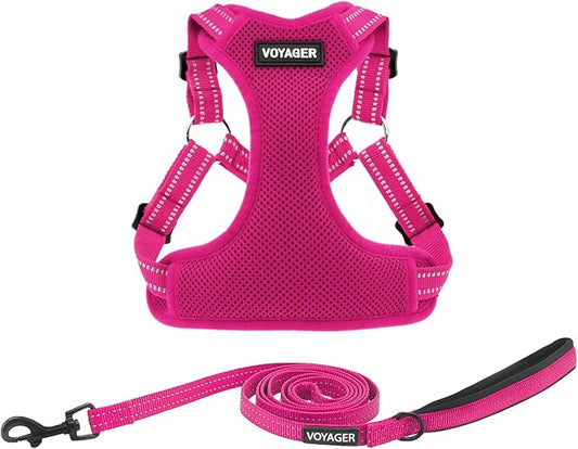 Best Pet Supplies Voyager Adjustable Step-in Flex Breathable Mesh Dog Harness for Small Medium Large Dogs Leash Set (Fuchsia), XL