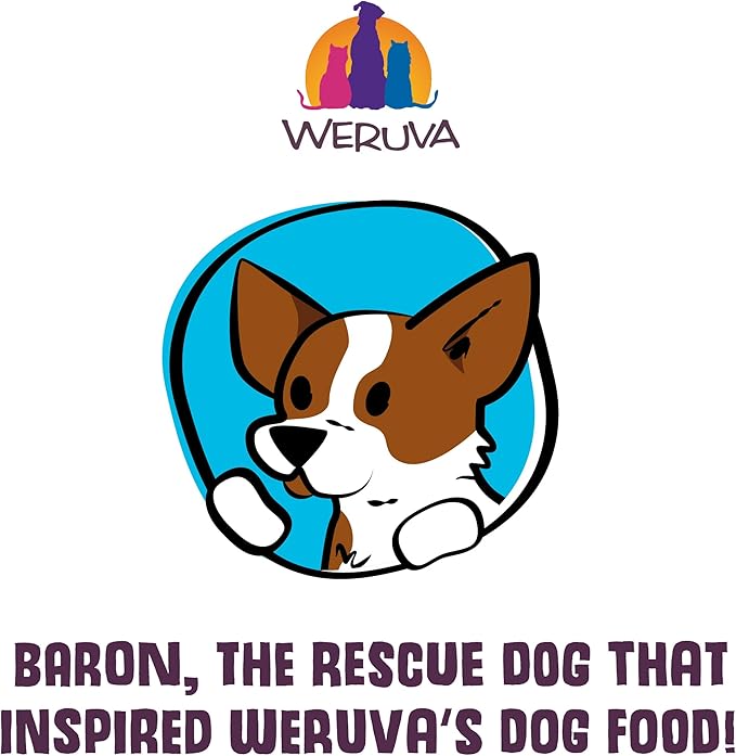Weruva Classic Dog Food, Marbella Paella with Mackerel & Pumpkin in Aspic, 5.5Oz Can (Pack of 24)