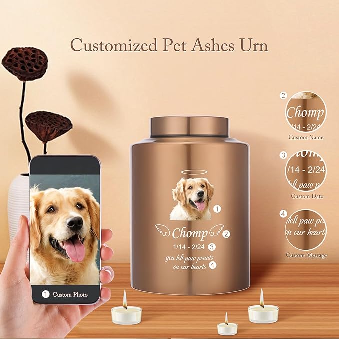 Custom Urns for Dogs Cats Ashes Personalized Pet Urn with Name and Photo Pet Cremation Memorial Urn for Loss of Dog or Cats Engraved Pet Funeral Urns (Angel)