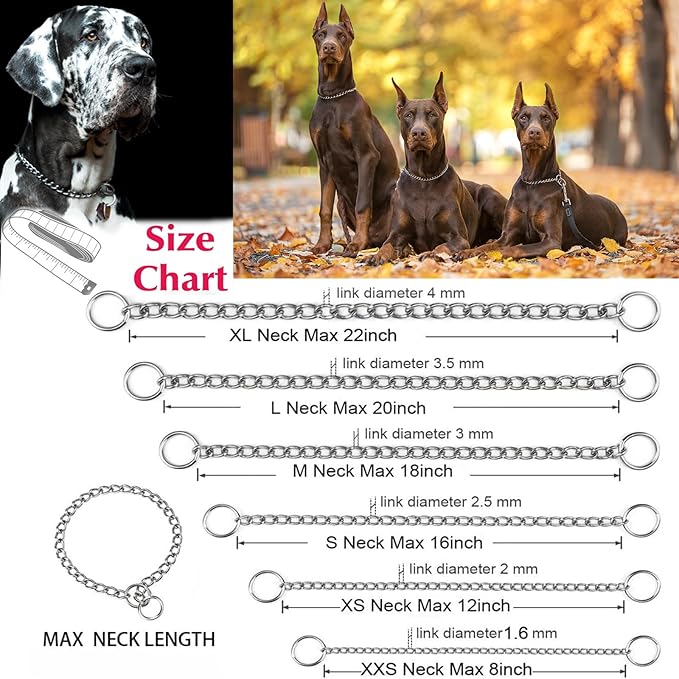 Metal Chain Dog Collar, Slip Link Heavy Duty Dog Collar Training Puppy Collars for XXS XS Small Medium Large Dogs, Silver XS