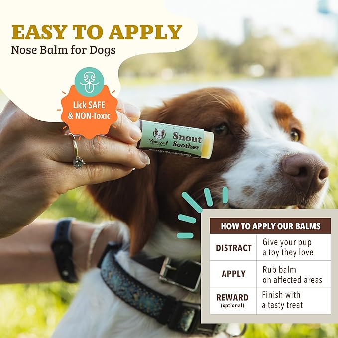 Natural Dog Company Snout Soother Travel Stick 4-Pack – 0.15 oz Chapstick-Size Sticks – Organic, Plant-Based, Lick-Safe Balm for Dry, Cracked, Crusty Noses – Value Bundle, Made in USA