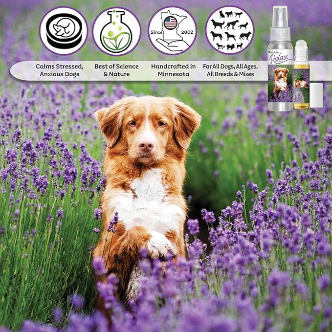 The Blissful Dog Nova Scotia Duck Tolling Retriever Relax Dog Aromatherapy Spray for Your Dog's Anxiety