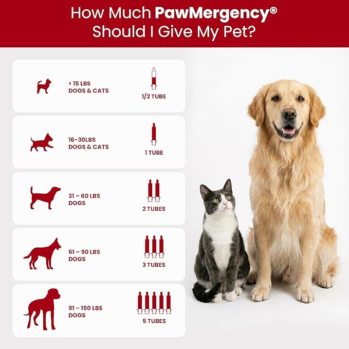 PawMergency – Activated Charcoal First Aid Kit Emergency Rescue 3 Pack for Dogs, Cats, Puppy & Pet Poison Kit, Camping Survival Remedy Essential, Oral Anti Diarrhea Digestive Absorb Toxins