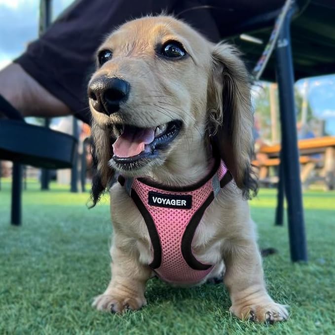 Best Pet Supplies - All Weather Mesh / Plush, Reflective, No Pull Harness for Small, Medium Dogs, Cats - Secure with Hook & Loop Fastener, Buckle, Double D-Rings - Pink/Black Trim, XL