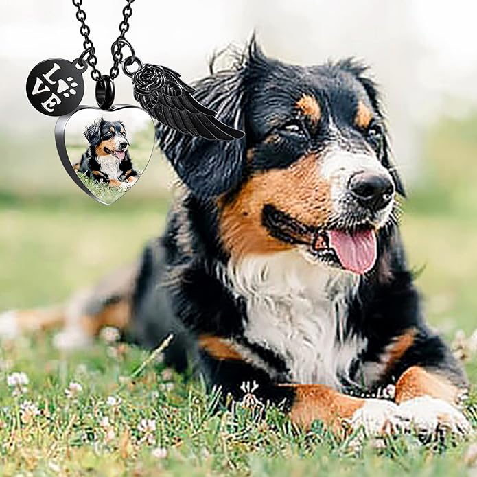 Personalized Urn Necklace for Pet Ashes Custom Photo/Name/Date Paw Print Pendant for Women Men Cremation Jewelry Memorial Keepsake for Dog/Cat/Pet Urn Necklace with Funnel Fill Kit