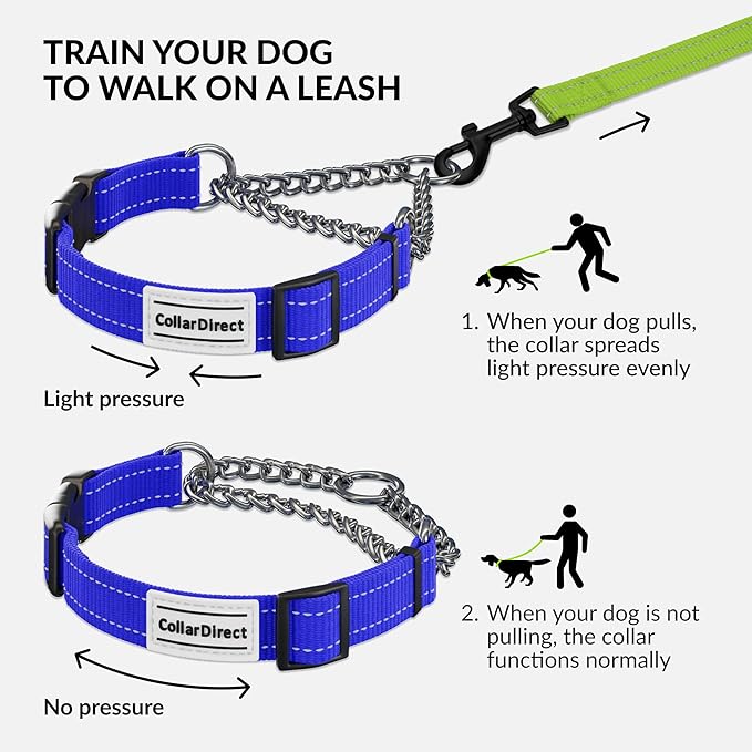 CollarDirect Martingale Dog Collar with Stainless Steel Chain and Quick Release Buckle - Reflective Collar for Large, Medium, Small Dogs - Blue, Large (Neck Size 17"-22")