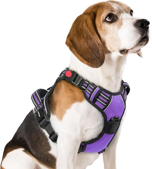 rabbitgoo Dog Harness Medium Sized, No Pull Pet Harness with 3 Buckles, Adjustable Soft Padded Vest with Control Handle, Walking Reflective Pet Vest for Medium Dogs, Purple, M