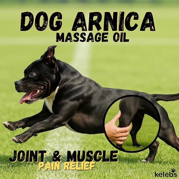KELEBS Dog Arnica Massage Oil | Pain Relief for Muscles, Arthritis, HIPS, and Joints | for Active & Senior Dogs | Organic Arnica-Infused Oil Blend – Only 5 Ingredients | Glass Bottle (2 Pack)