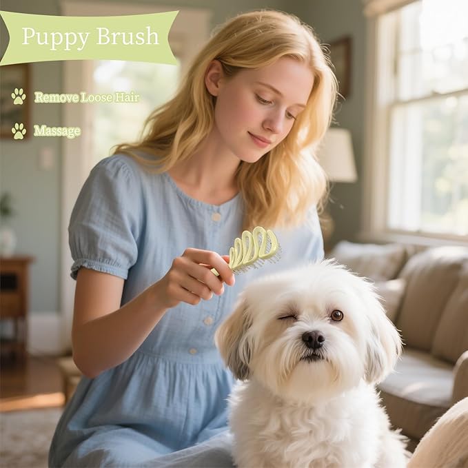 Soft Bristle Dog Brush for Small Breeds - Yorkie, Shih Tzu, Maltese Pomeranian Maltipoo Essential - 3 Color - Puppy Accessories (Green)