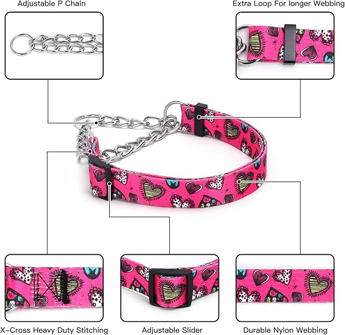 Martingale Dog Collar with Stainless Steel Chain - Limited Chain Cinch Training Collar for No Pull Training Dog - Flower Multicolor Cute Patterns - Premium No Slip Collar (HA12NO2, M)