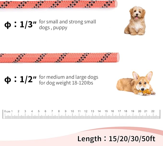 Long Dog Leash for Training 15Ft-Reflective Nylon Rope with Swivel Hook-Recall Agility Lead for Large Small Medium Dogs Outside Walking Hiking-Orange Diam 1/2"
