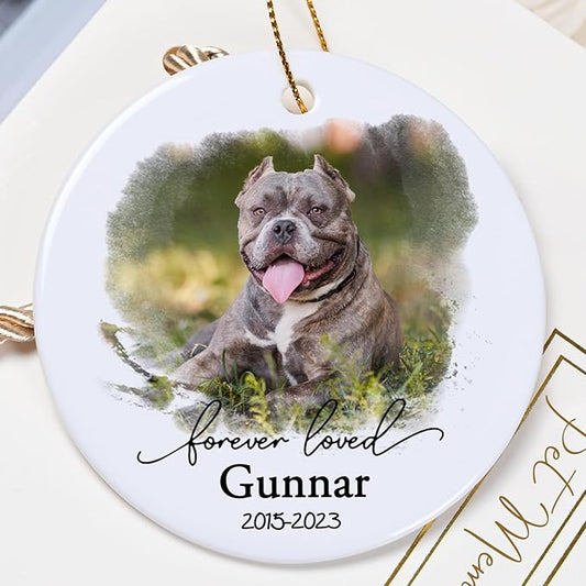 Touber Personalized Dog Memorial Ornament - Ceramic Christmas Ornament for Dog Loss Gifts