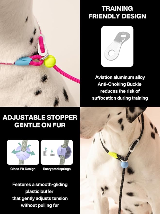 Slip Lead Dog Leash, Adjustable Slip Lead with Aviation Aluminum Anti-Choking Stopper, Lightweight Pet Training Lead