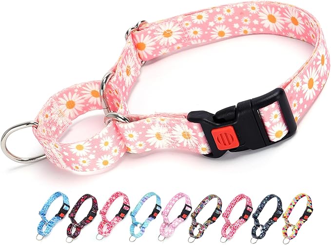Martingale Collar for Dogs, Pink Dog Collar with Daisy Flowers for Small Medium Large Dogs, Girl Dog Collars with Quick-Release Buckle for Training, Walking, Hunting (M)