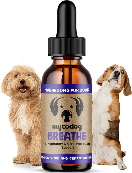 MycoDog Breathe - Respiratory Support Supplement for Dogs - Breathing Comfort & Airway Health - French Bulldogs, Pugs, & Flat-Faced Breeds - Natural Mushroom and Ashwagandha Drops
