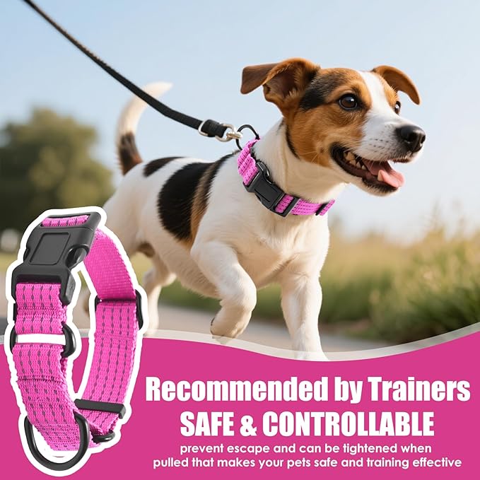 Martingale Collar for Dogs, Adjustable Soft Nylon Dog Collars with Special Design Cute Patterns (Pink, M (1" x 15.5"-19.5"))