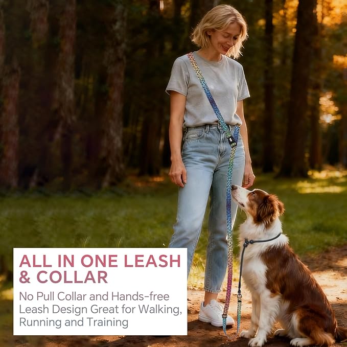 QQPETS Adjustable Slip Lead Dog Leash, Hands Free Waist Leash for Dog Walking, Reflective Training Lead with 360° Swivel Anti-Tangle, 4-7 ft Length for All Breeds