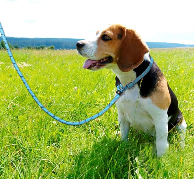 TagME Slip Leads for Dogs that Pull, 6 FT No-Pull Training Leash with Lock, Escape-Proof Design, Reflective & Padded Handle for Medium Dogs, Blue
