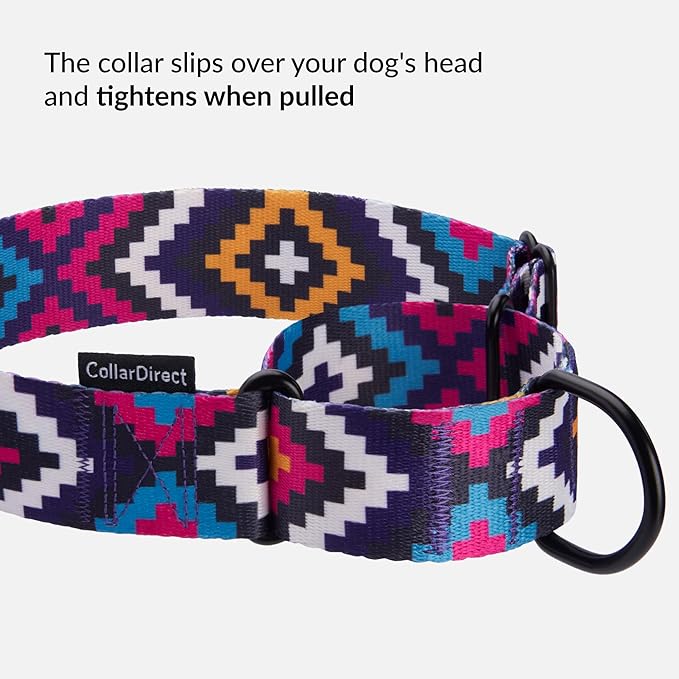 CollarDirect Aztec Martingale Collars for Dogs Heavy Duty Tribal Pattern Safety Nylon Training Collar Large Medium Small (Tribal, L, Neck Size 15"-20")